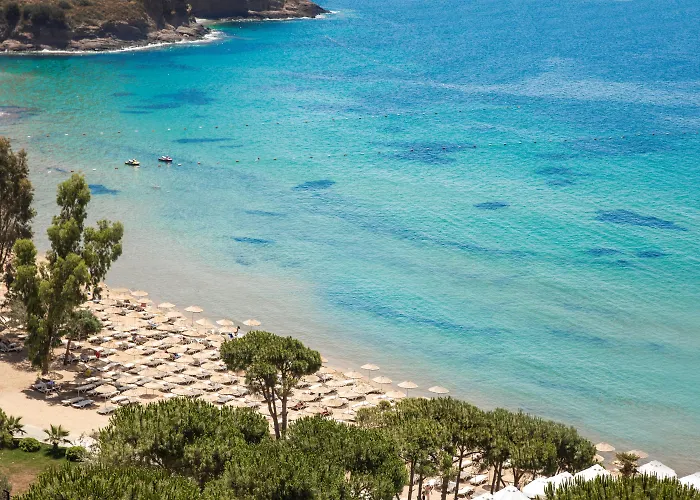 Aria Claros & Resort Özdere