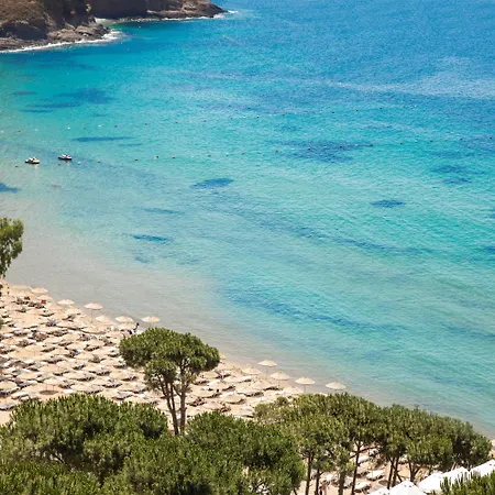 Aria Claros & Feriested Özdere