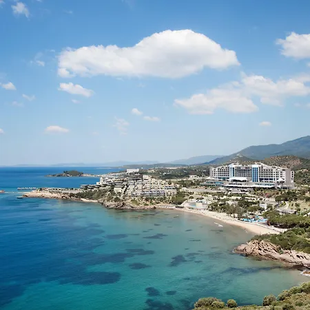 Aria Claros & エズデレ