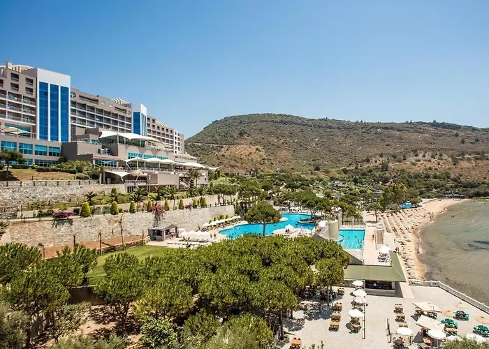 Aria Claros & エズデレ